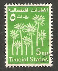 arabia del sudeste - Trucial States - Palmeras