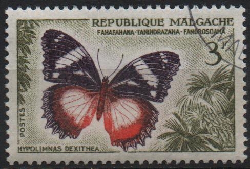 MARIPOSAS.  HYPOLIMNAS  DEXITHEA.