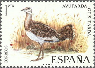 ESPAÑA 1971 2036 Sello Nuevo Fauna Hispanica Avutarda Otis Tarda