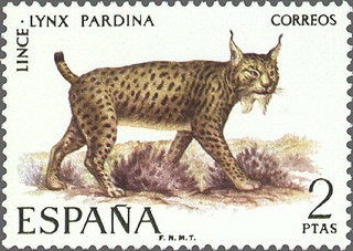 ESPAÑA 1971 2037 Sello Nuevo Fauna Hispanica Lince Lynx Pardina