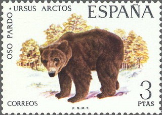 ESPAÑA 1971 2038 Sello Nuevo Fauna Hispanica Oso Pardo Ursus Arctos