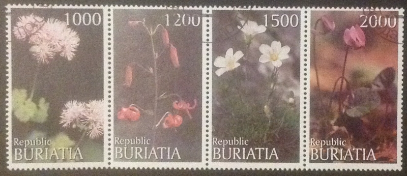 Buriatia - Flora