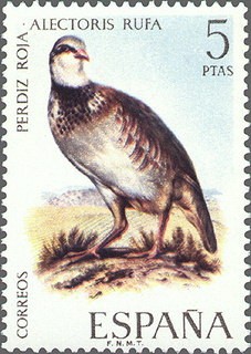 ESPAÑA 1971 2039 Sello Nuevo Fauna Hispanica Perdiz Roja Alectoris Rufa