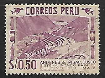 Cultivo del maiz