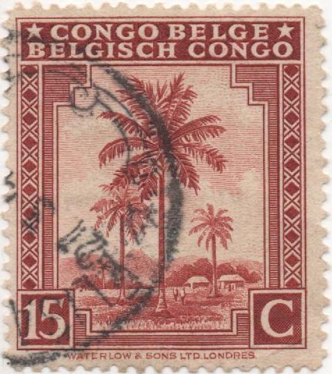 Congo Belga Y & T Nº 230