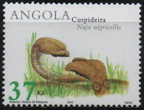 NAJA  NIGRICOLLIS