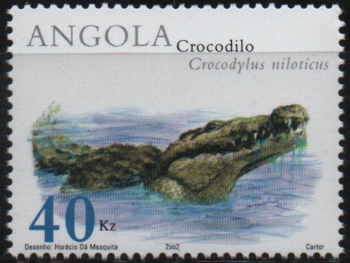 CROCODYLUS  NILOTICUS