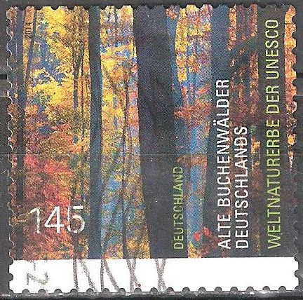 Antiguos bosques de haya de Alemania - Patrimonio Mundial de la UNESCO.