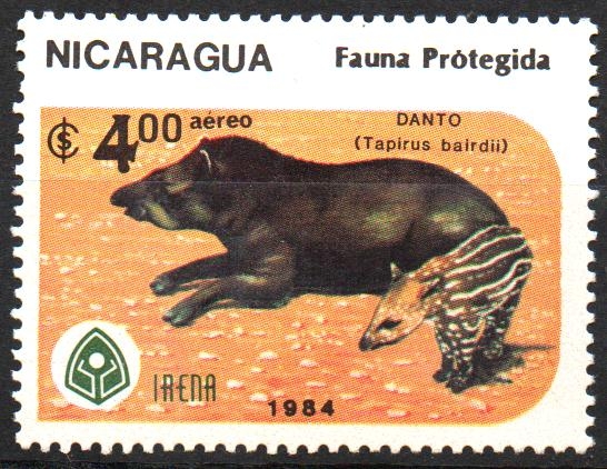 FAUNA  PROTEGIDA.  DANTO  HEMBRA  Y  SU  CRIA.