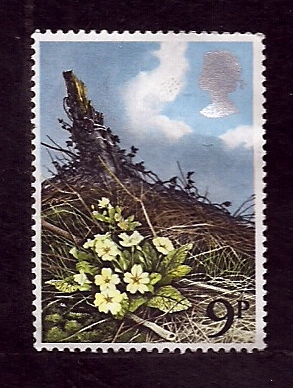 Paisage floral