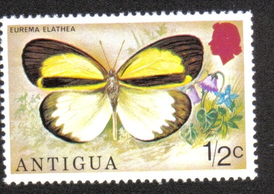 Mariposas