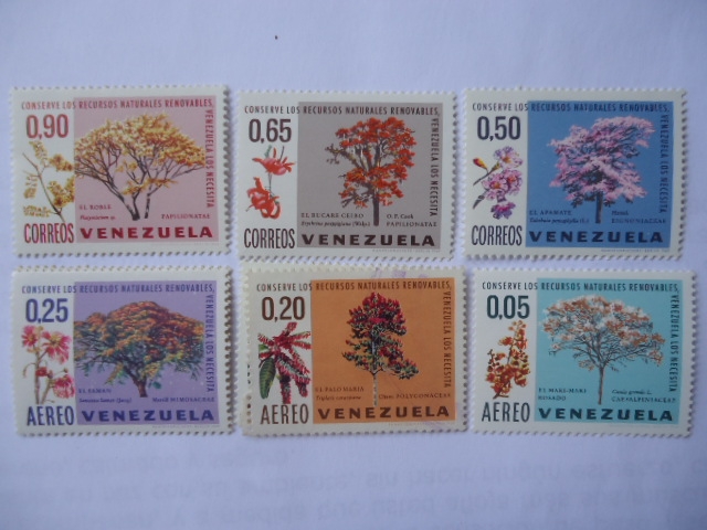 flora de Venezuela - Amapates, Cañaguates y Araguaney