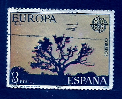 Europa SEPT