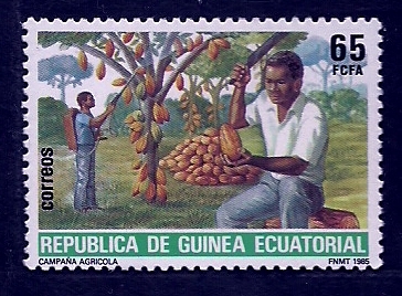 Campaña Agricola (Cacao)