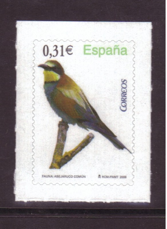 Abejaruco común