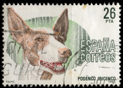 EDIFIL 2713 SCOTT 2336.01