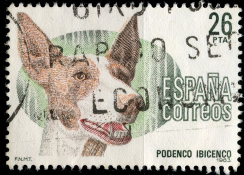 EDIFIL 2713 SCOTT 2336.02