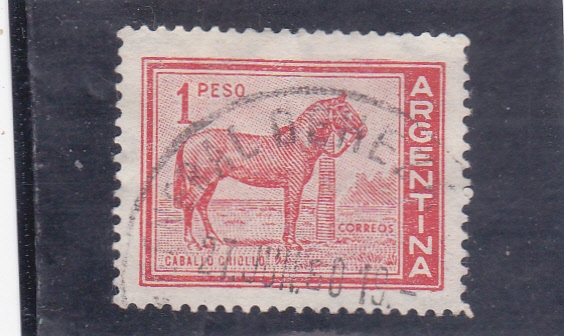 CABALLO CRIOLLO