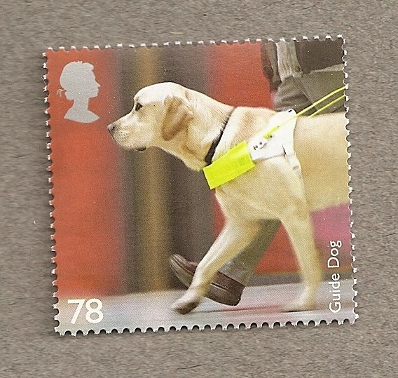 Razas Perros