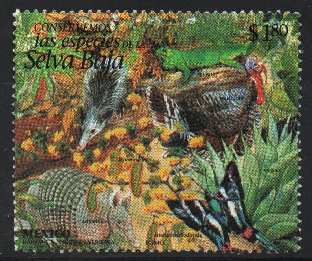 SELVA  BAJA.  ARMADILLO, MARIPOSA  DODÍNIDA, IGUANA, TRACUACHE, GUAJOLOTE, MAGUEY, LEGUMINOSA.