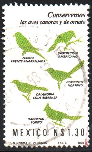 FAUNA  SILVESTRE.  SILUETAS  DE  PÁJAROS  CANTORES  ORNAMENTALES.