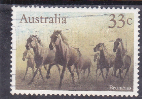 CABALLOS SALVAJES- BRUMBIES