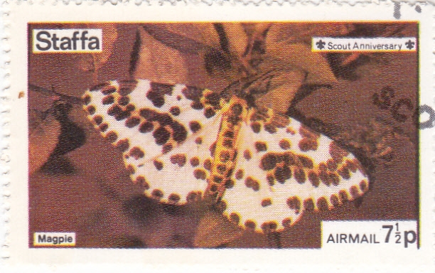 MARIPOSA