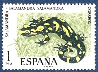 Edifil 2272 Salamandra 1 NUEVO