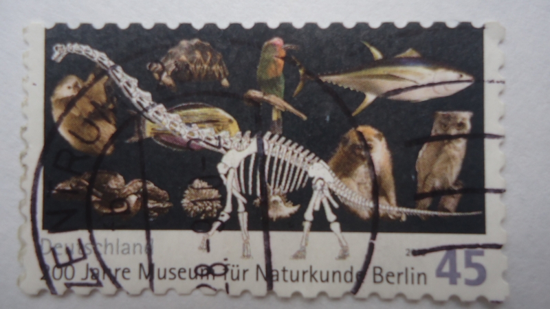 200 Años Museo de Historia Natural de Berlín.