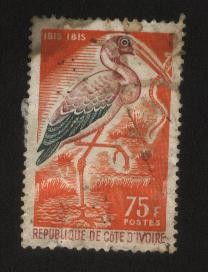 Cote D´ivoire