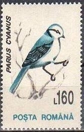  Birds 1993