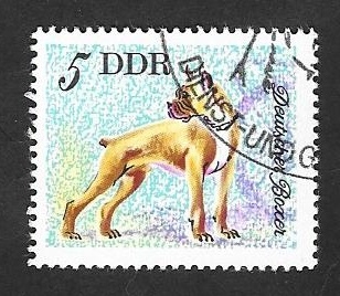 1831 - perro boxer alemán