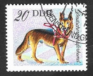 1833 - perro berger alemán
