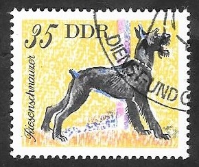 1835 - perro gran schnauzer