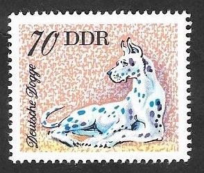 1836 - Perro de raza dogge