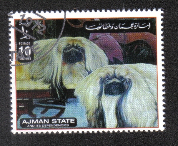 Perros, Ajman