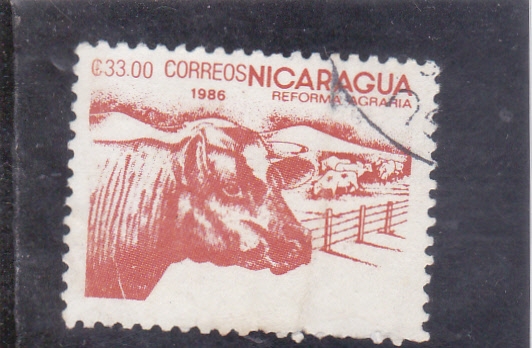 REFORMA AGRARIA