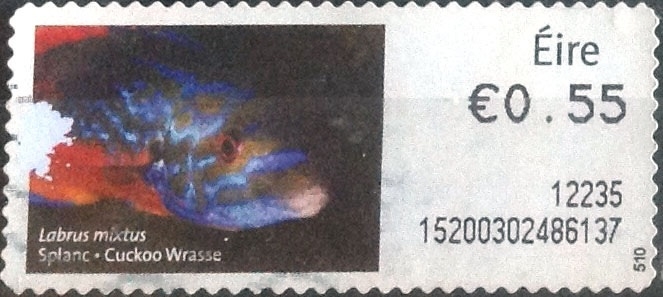 ATM#25 intercambio, 0,20 usd, 55 c. 2011