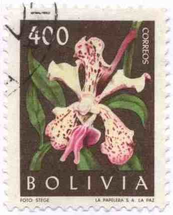 Flora boliviana
