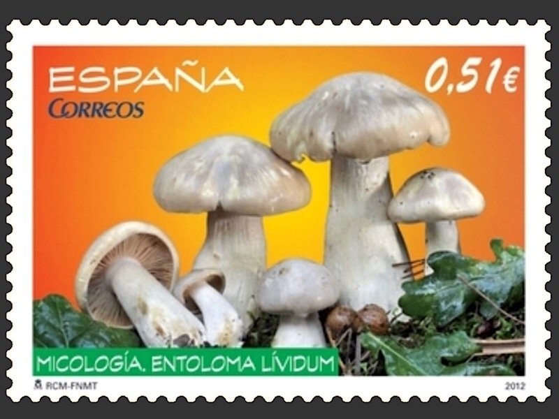 Edifil 4740