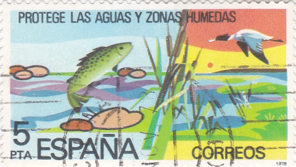 PROTEGE LAS AGUAS Y ZONAS HUMEDAS (31)