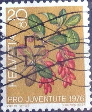 Scott#B443 intercambio, 0,20 usd, 20+10 cents. 1976