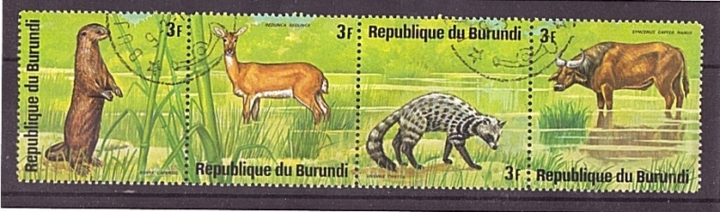 serie- Animales africanos