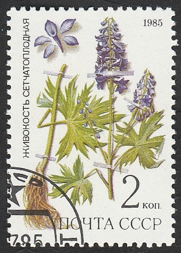 5232 - Planta medicinal