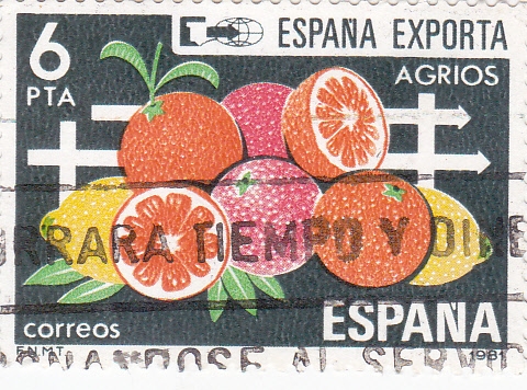 ESPAÑA EXPORTA AGRIOS (33)