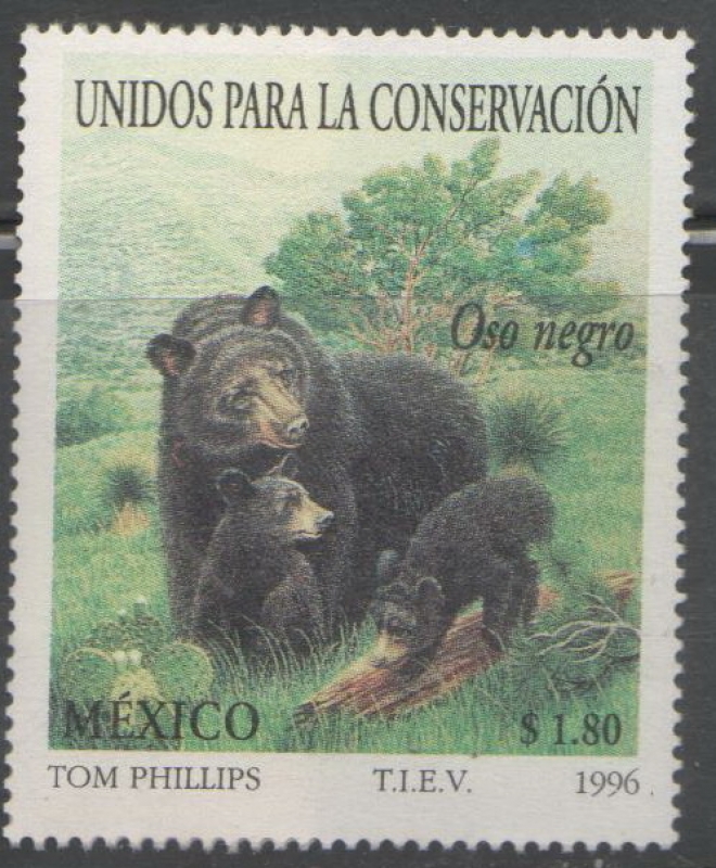 Unidos para la conservación oso negro