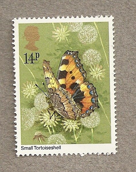 Mariposa