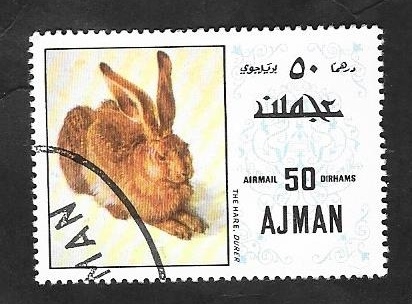 Ajman - La Liebre, de Durer