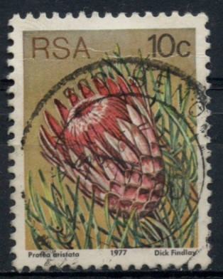 SUDAFRICA_SCOTT 484 $0.2