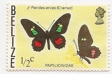 Mariposas